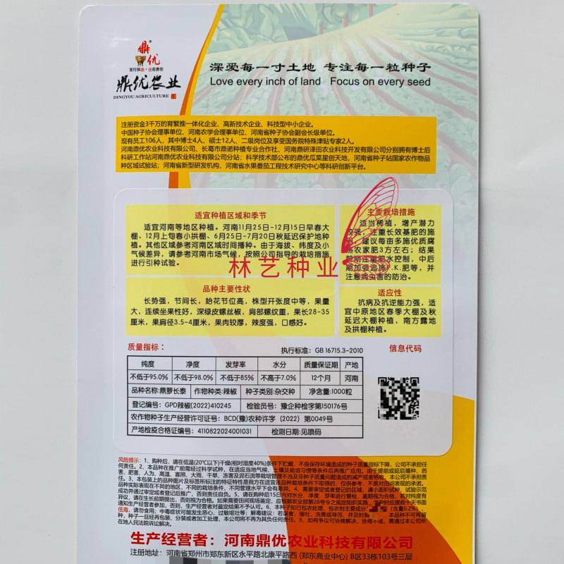 鼎萝长泰螺丝椒种子深绿皮大果螺丝椒种籽肉厚辣度强长势旺