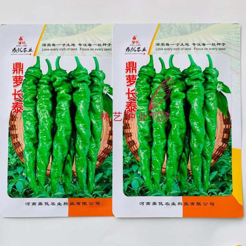 鼎萝长泰螺丝椒种子深绿皮大果螺丝椒种籽肉厚辣度强长势旺