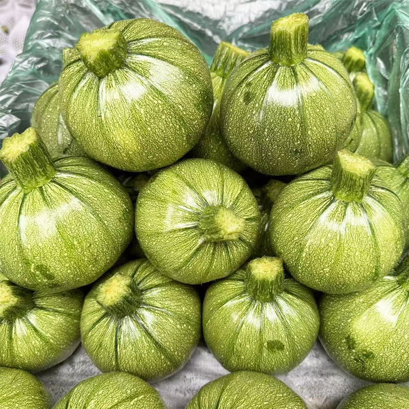 玲珑早秀南瓜种子杂交一代嫩南瓜种子脆甜长蔓一串铃南瓜种子
