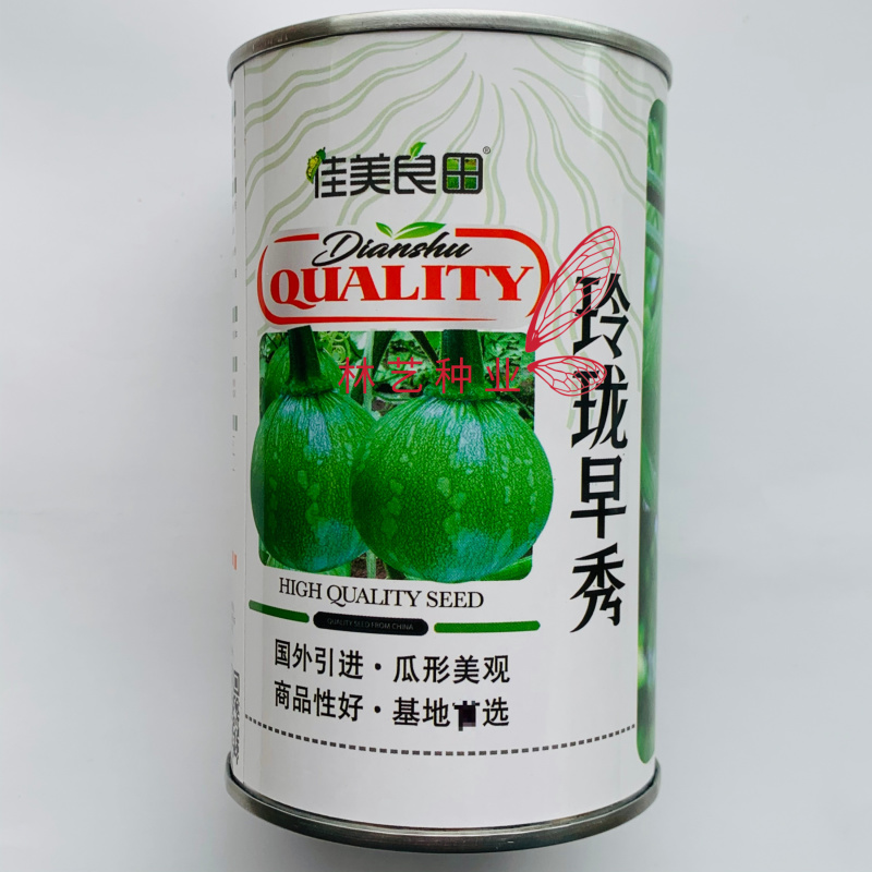 玲珑早秀南瓜种子杂交一代嫩南瓜种子脆甜长蔓一串铃南瓜种子