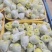 雅安市汉源县光果鸭梨和套袋鸭梨350--400g