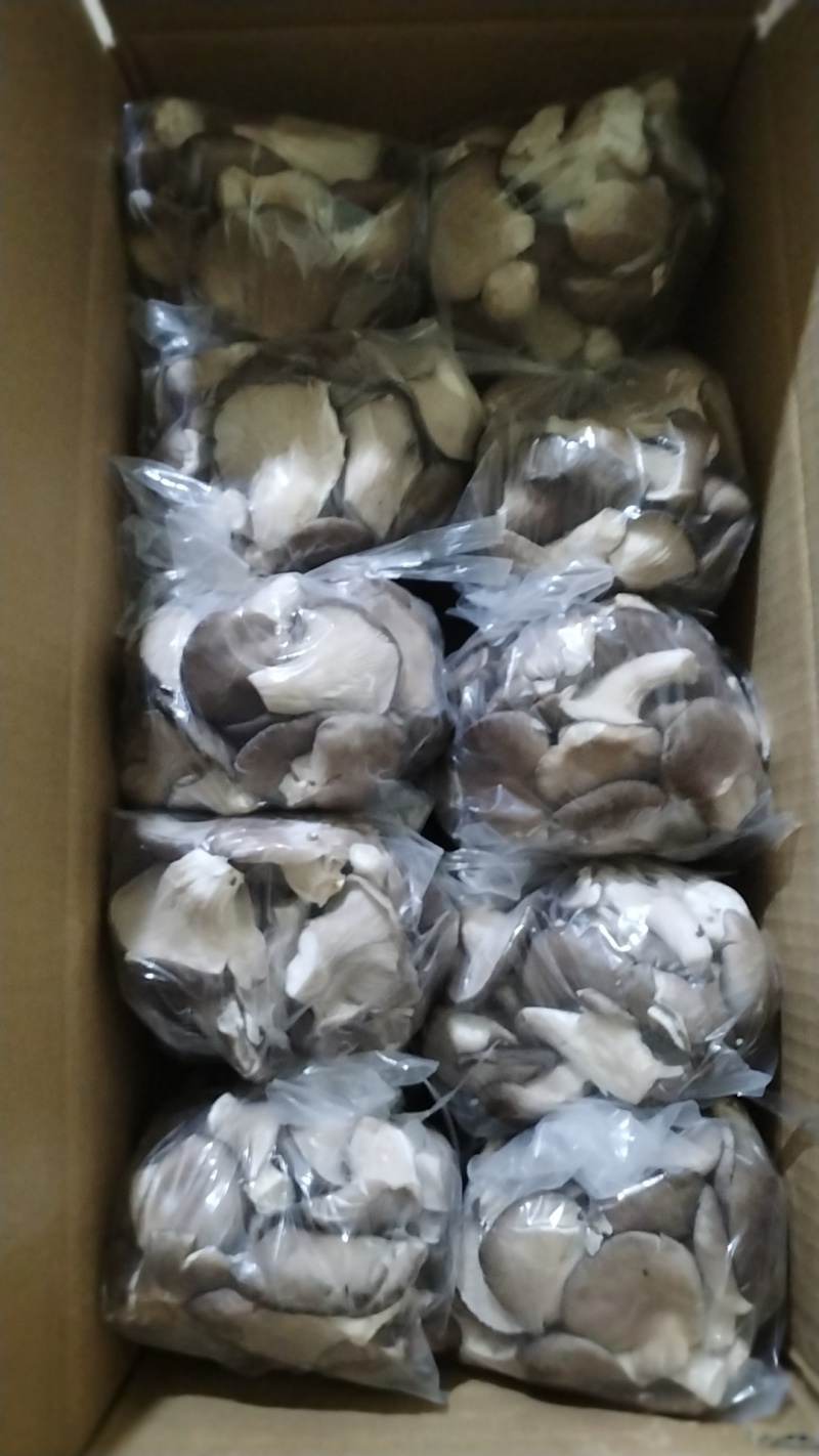 秀珍菇，产地直发，一手货源。量大从优，欢迎选购。