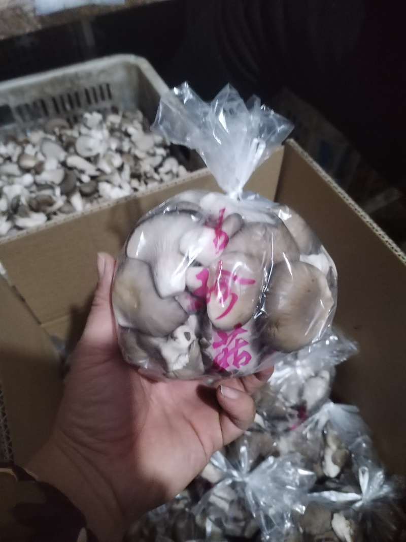 秀珍菇，产地直发，一手货源。量大从优，欢迎选购。
