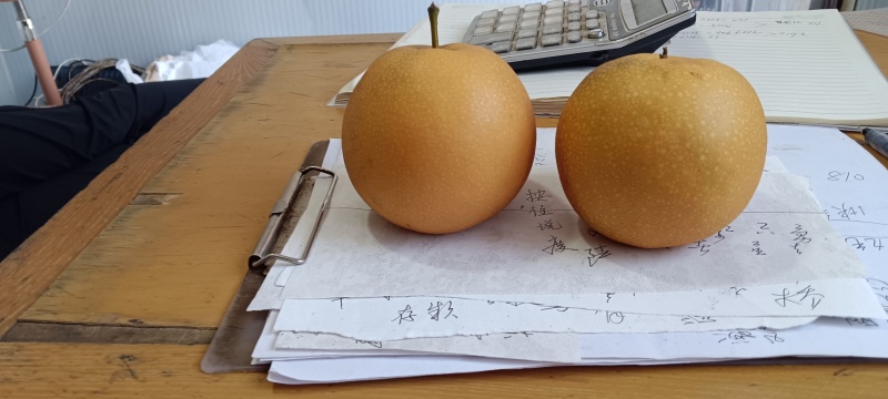 秋月