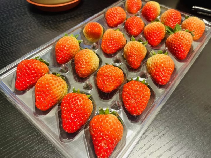 草莓