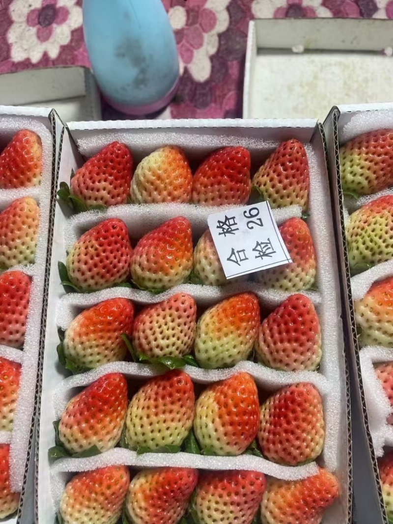 草莓