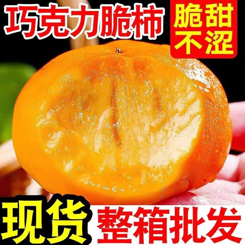 山西阳丰巧克力脆柿一件代发