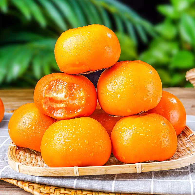 山西阳丰巧克力脆柿一件代发