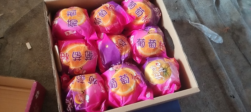 福建平和葡萄柚产地直供