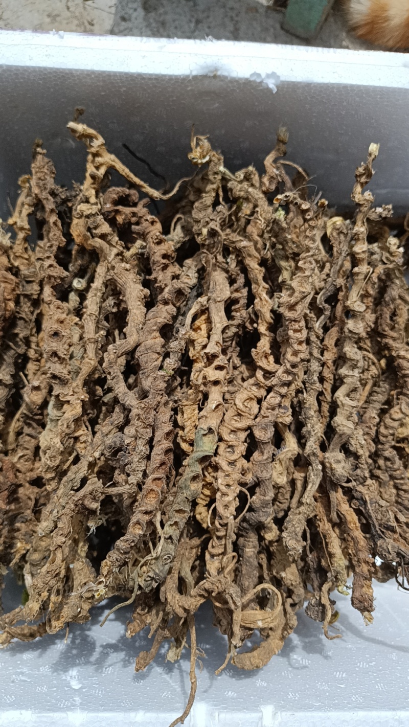 竹节三七精选货，
