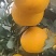 爱媛果冻橙，细腻化渣，口感**，诚信经营