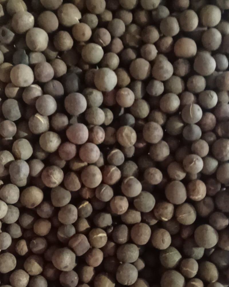 麻豌豆
