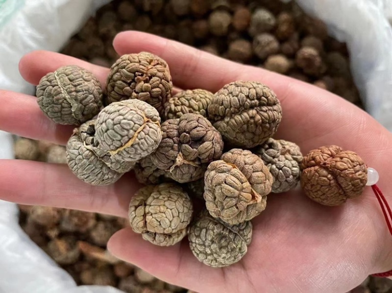 草豆蔻小草寇草蔻炖肉调料老豆蔻大草蔻批发各种香料代发批发