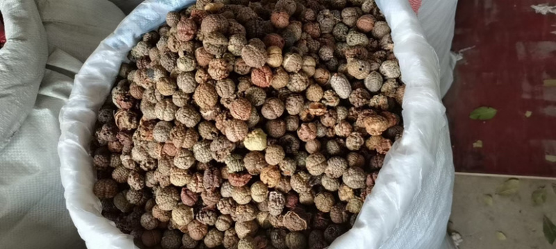 草豆蔻小草寇草蔻炖肉调料老豆蔻大草蔻批发各种香料代发批发