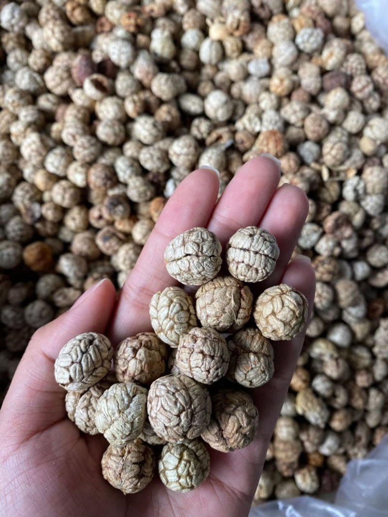 草豆蔻小草寇草蔻炖肉调料老豆蔻大草蔻批发各种香料代发批发