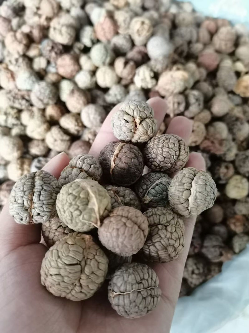 草豆蔻小草寇草蔻炖肉调料老豆蔻大草蔻批发各种香料代发批发