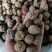 草豆蔻小草寇草蔻炖肉调料老豆蔻大草蔻批发各种香料代发批发