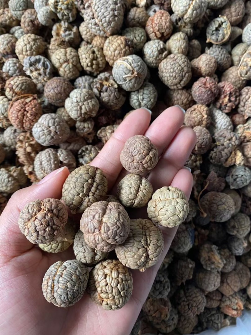 草豆蔻小草寇草蔻炖肉调料老豆蔻大草蔻批发各种香料代发批发