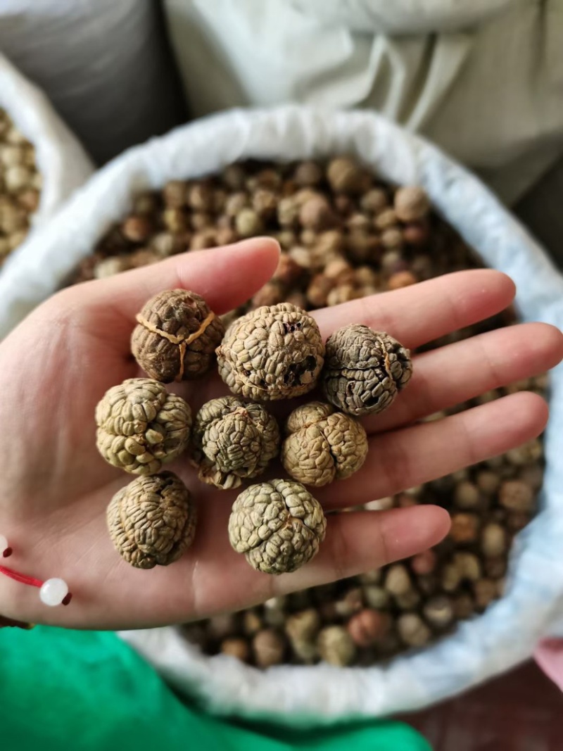 草豆蔻小草寇草蔻炖肉调料老豆蔻大草蔻批发各种香料代发批发