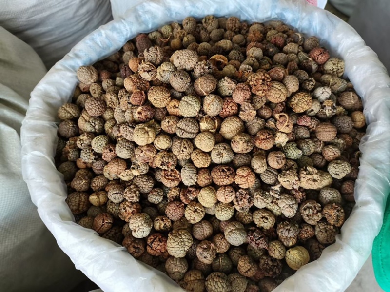 草豆蔻小草寇草蔻炖肉调料老豆蔻大草蔻批发各种香料代发批发
