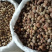 草豆蔻小草寇草蔻炖肉调料老豆蔻大草蔻批发各种香料代发批发