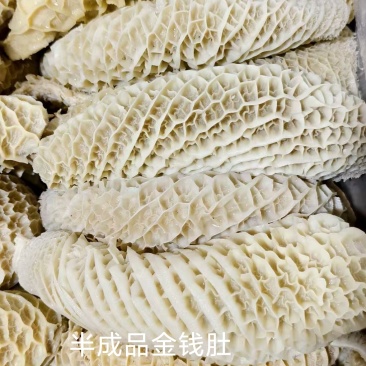 半成品金钱肚