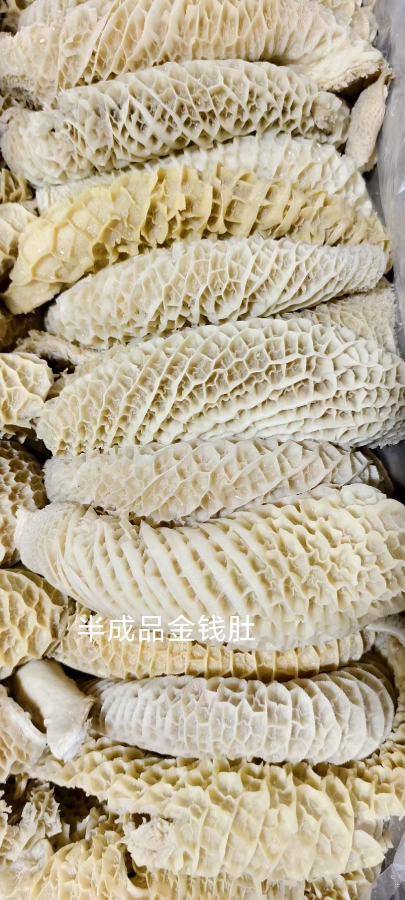 半成品金钱肚