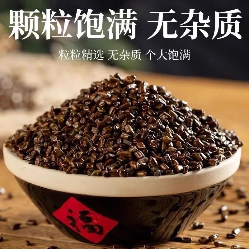 中药材野生决明子新货无硫宁夏正宗炒决明子决明子茶滋补