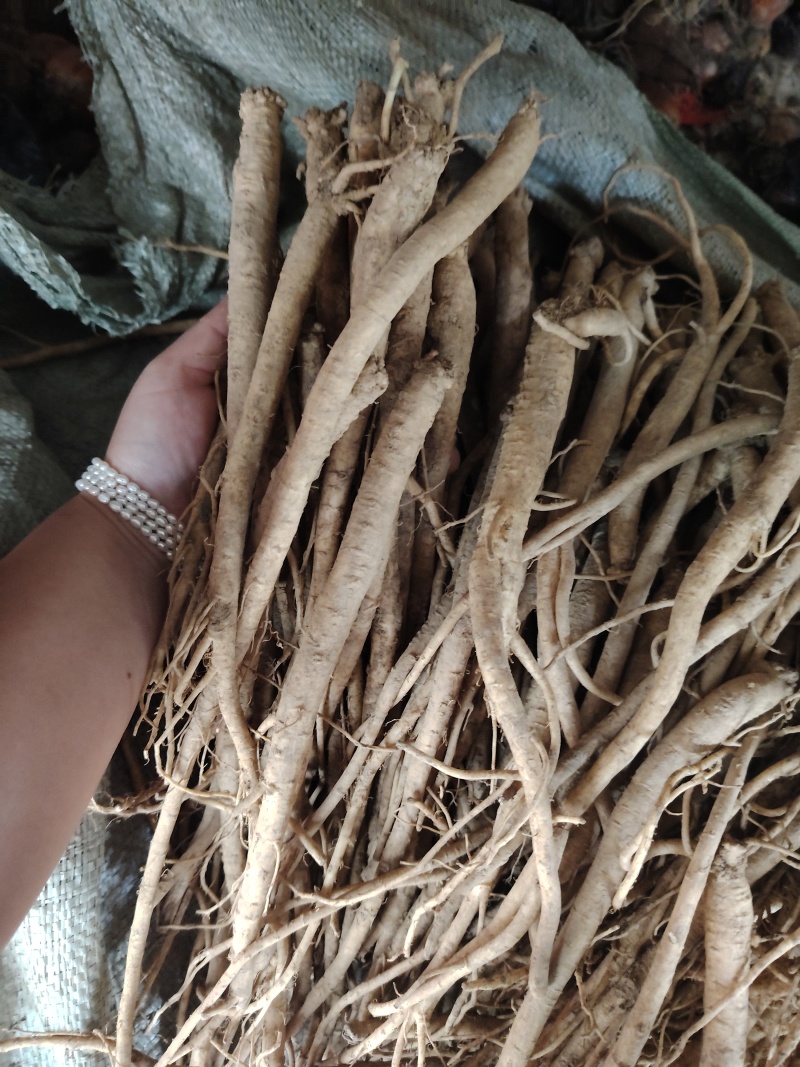 板党鲜货大条