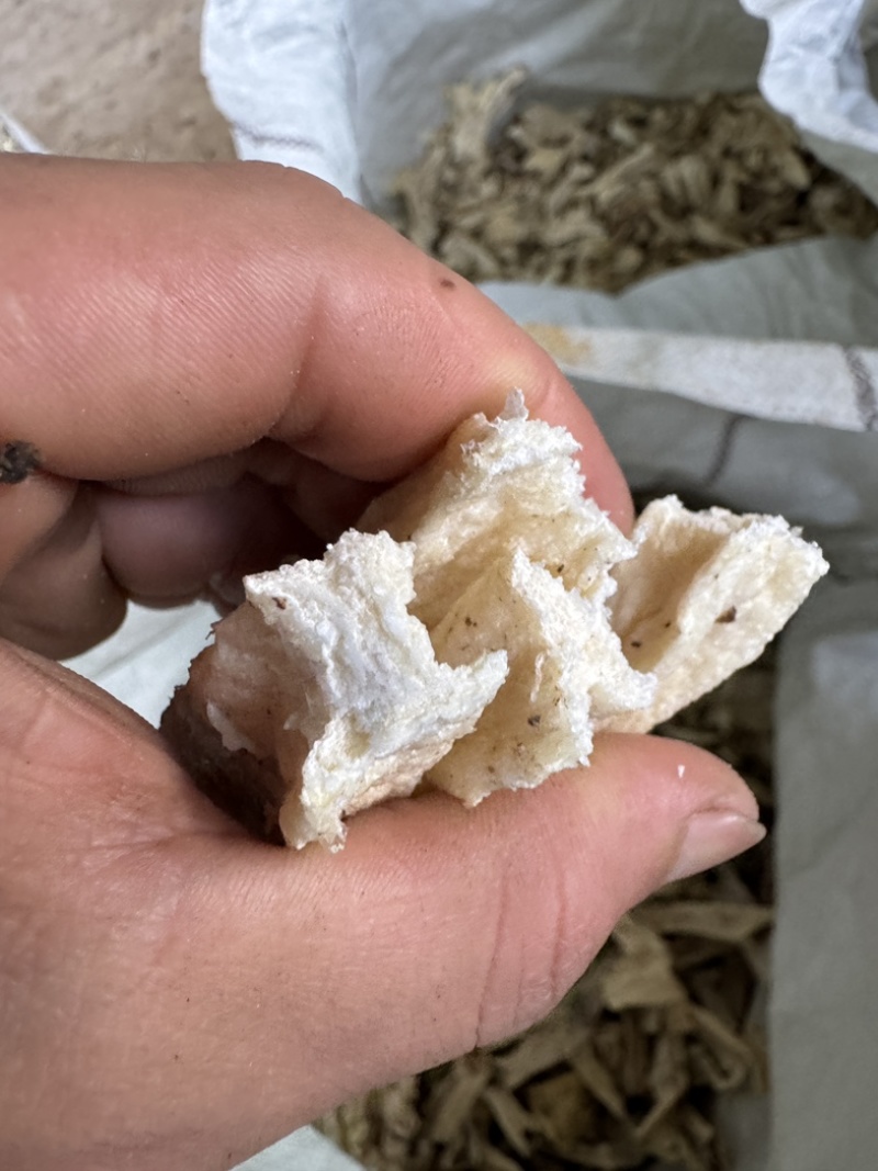 魔芋干机烘焙花魔芋干