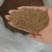 西班牙艾普原装进口——含有褐藻巨大昆布的大量元素水溶肥