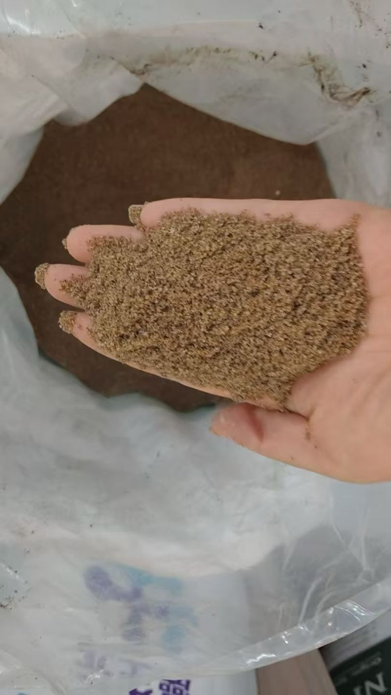 西班牙艾普原装进口——含有褐藻巨大昆布的大量元素水溶肥