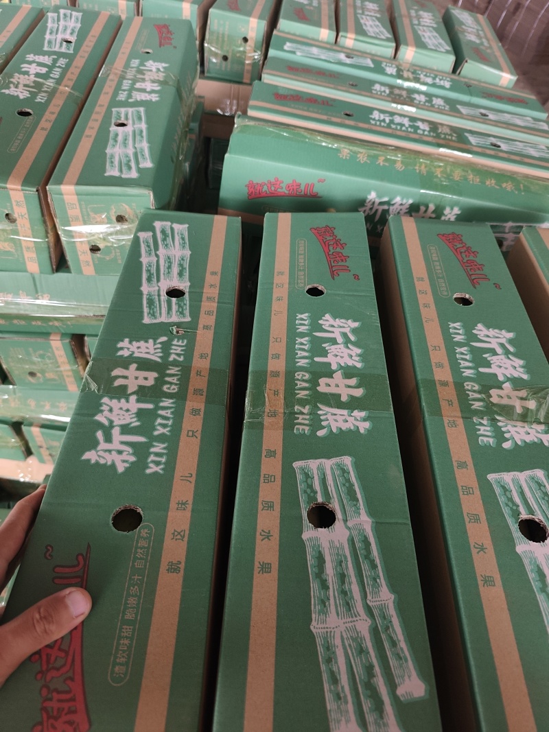 黄皮甘蔗电商代发，大量接单。三元一单。