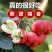 山楂大金星新鲜糖葫芦冰糖葫芦山楂果专用大果批发山里红红果