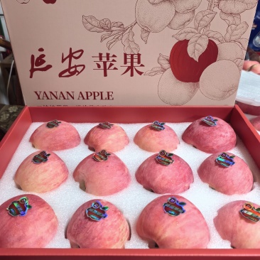 延安红富士苹果，原产地直发