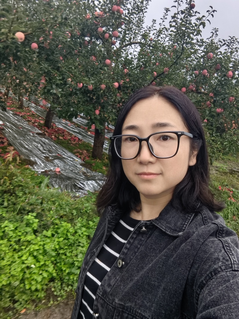 延安红富士苹果，原产地直发