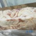 生牛子宫