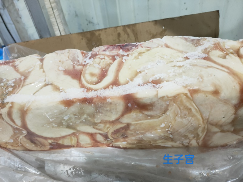 生牛子宫