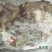 生牛子宫