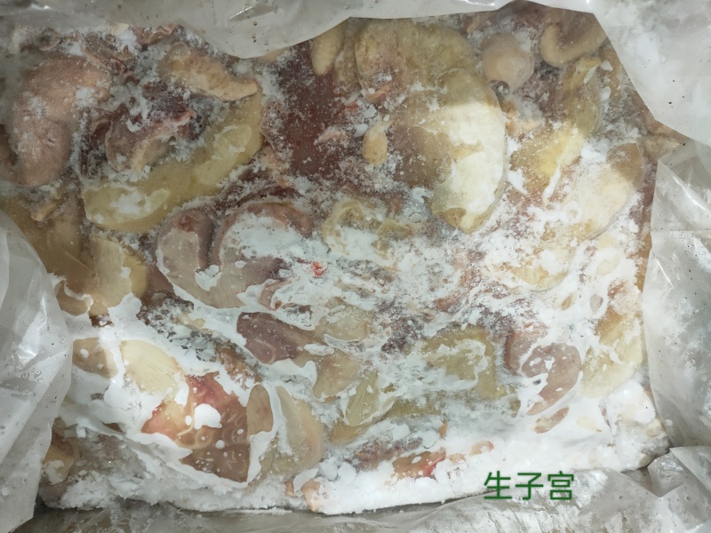 生牛子宫