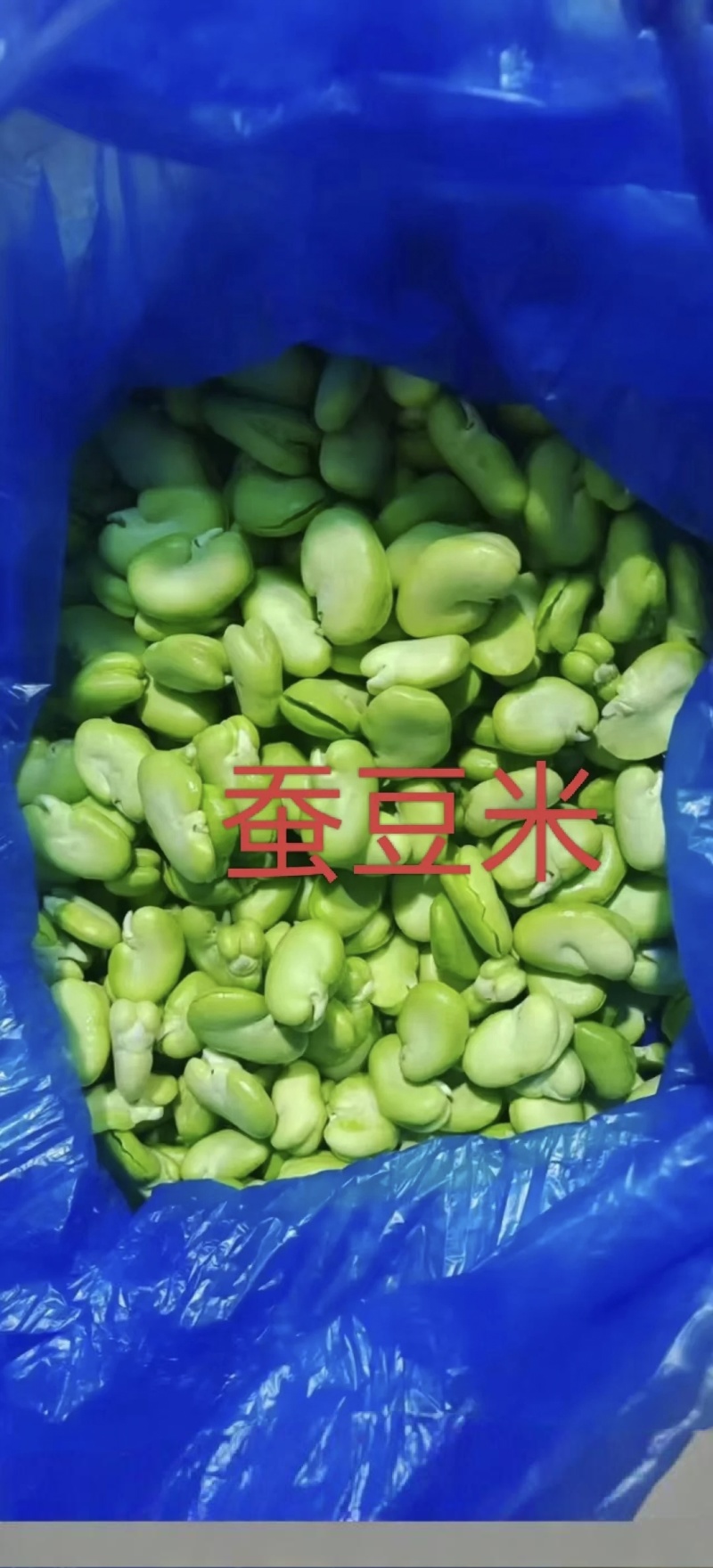 云南楚雄蚕豆米