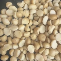 夏威夷果大碎仁4L坚果源头工厂源头工厂直销大量