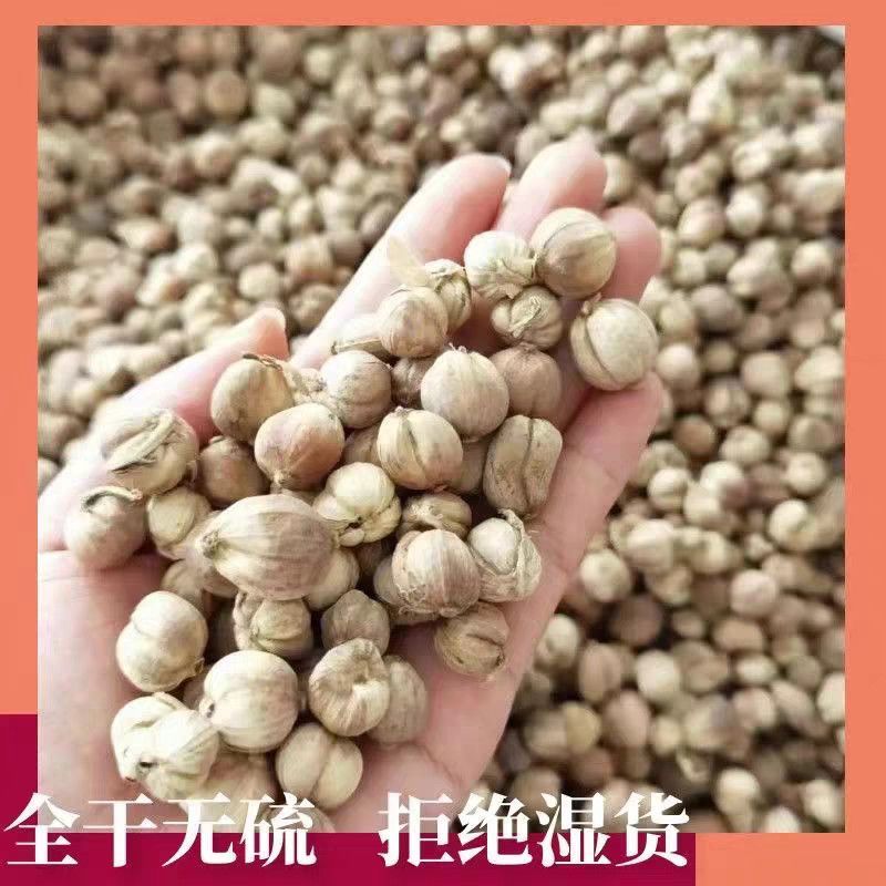 白豆蔻香料【精美罐装】白寇白扣豆蔻紫豆蔻叩仁香辛料特级白