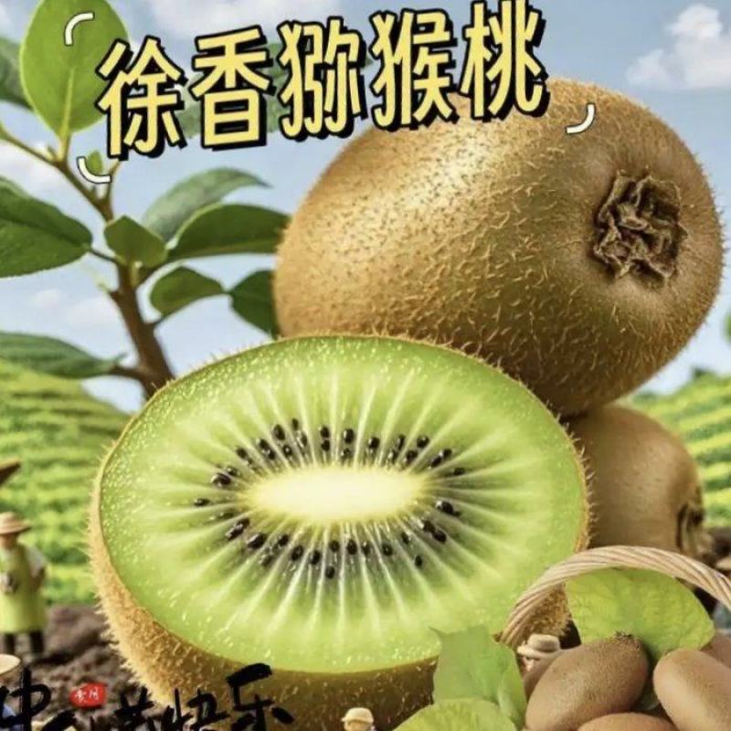 徐香猕猴桃一件代发多种规格