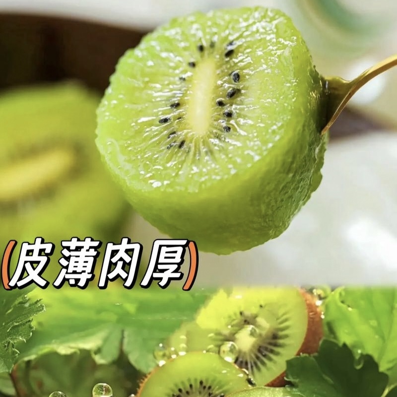 徐香猕猴桃一件代发多种规格