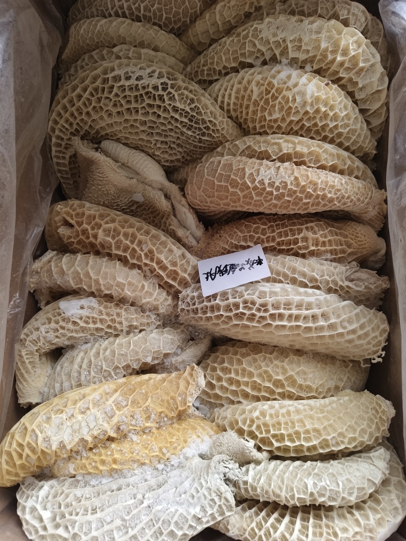 半成品金钱肚