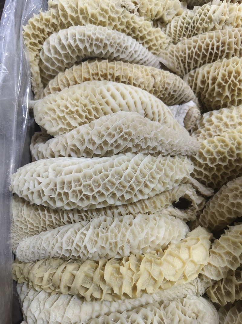 半成品金钱肚