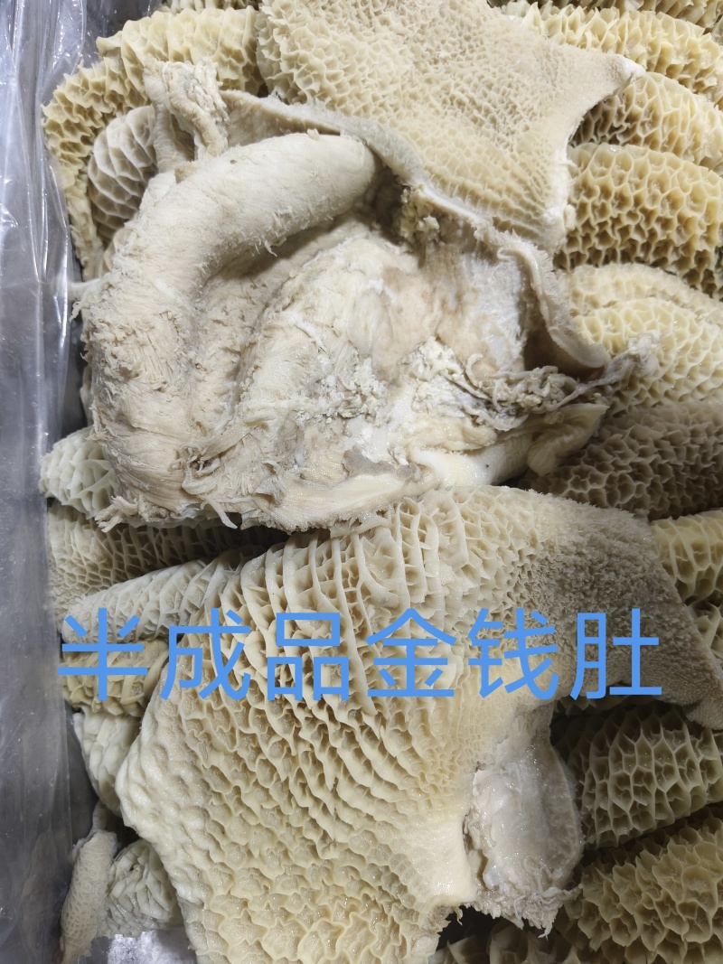 半成品金钱肚