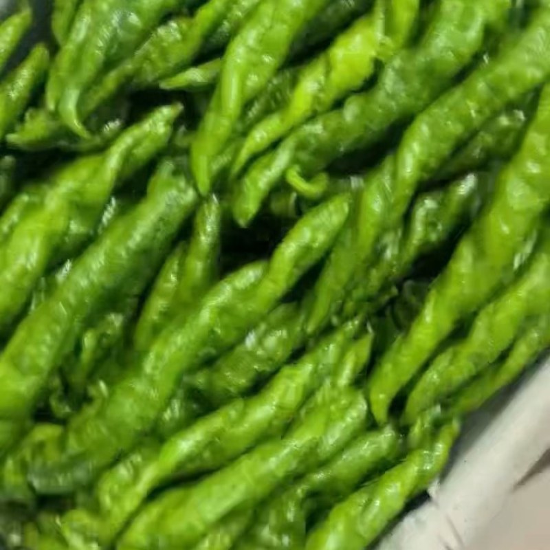 精品螺丝椒通货商超市场批发零售当天现摘陇椒