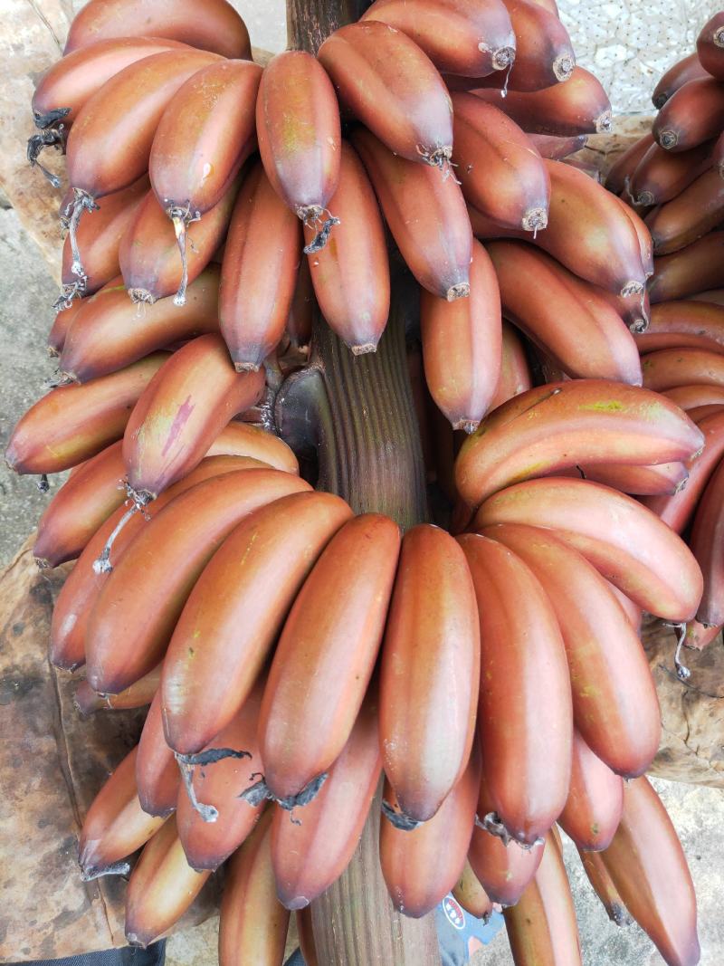 红香蕉，